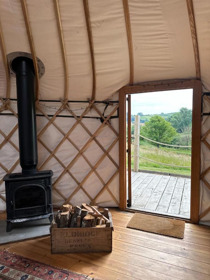 Bracken Yurt At Walnut Farm Glamping Netherbury Exterior foto